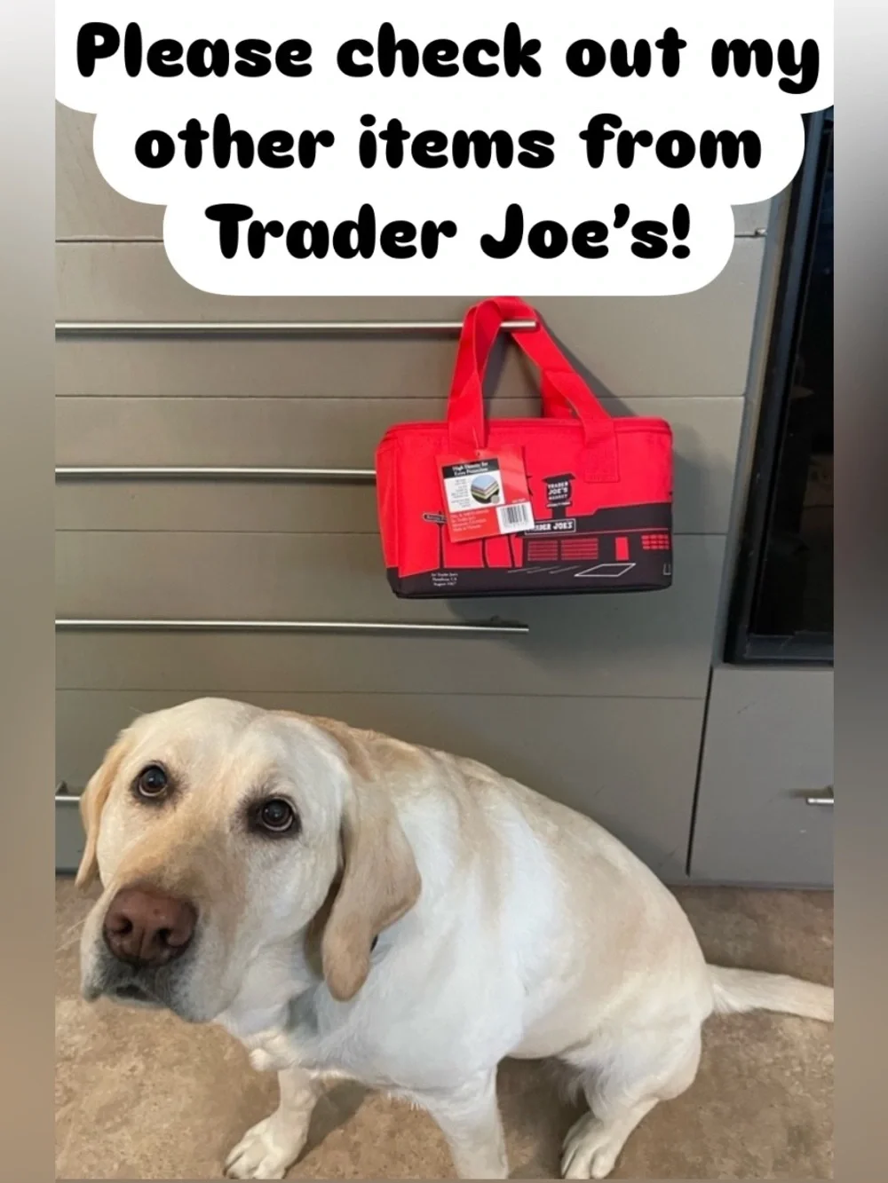🌺NWT Trader Joe's Green w/Lime Insulated Mini Tote Bag - Holiday 2025